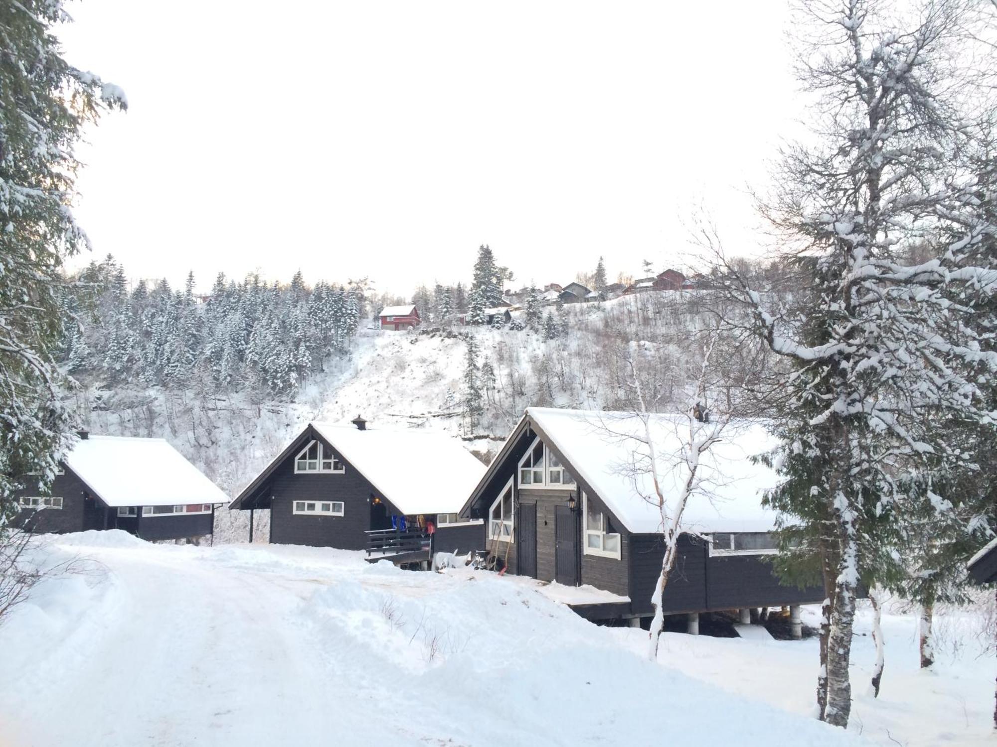 Kvamskogen & Hardanger Holliday Homes Norheimsund Exteriör bild
