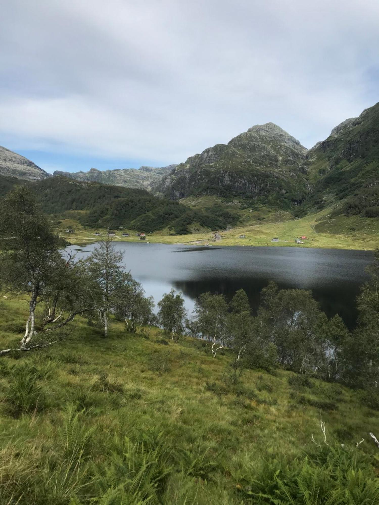 Kvamskogen & Hardanger Holliday Homes Norheimsund Exteriör bild