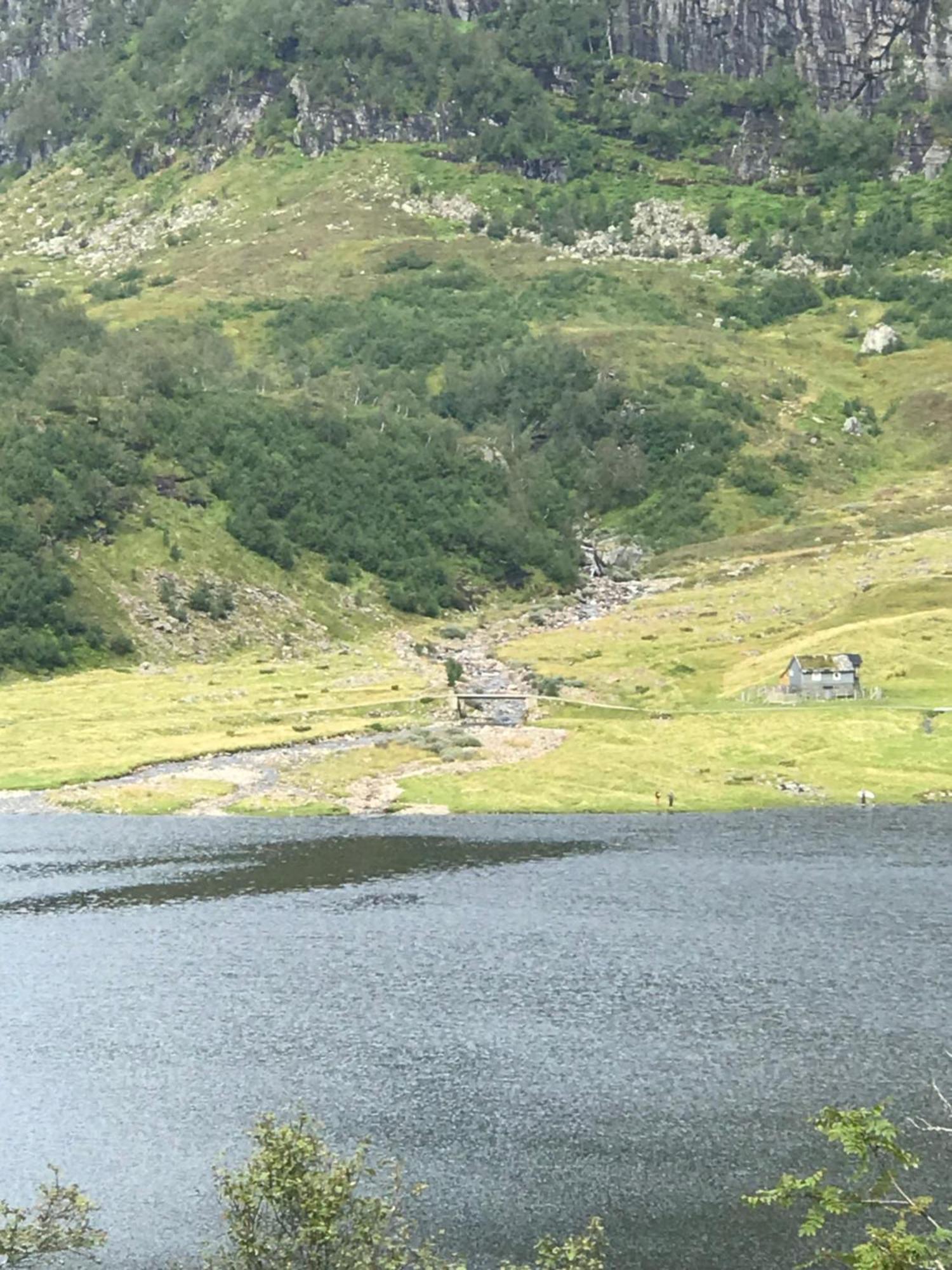 Kvamskogen & Hardanger Holliday Homes Norheimsund Exteriör bild